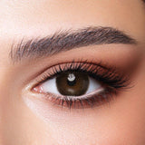 Bella One Day lenses Cedar