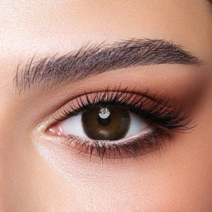 Bella One Day lenses Cedar