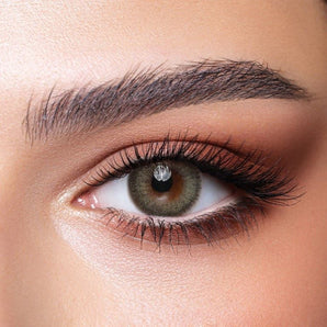 Bella One Day lenses Pine