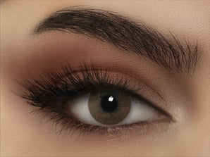 Bella Highlight Circle Brown Bhcib