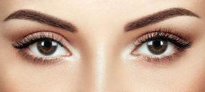 Phantasee Coloured Contact Lenses Natural Pumpkin Brown (Monthly Disposable)